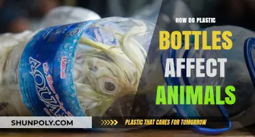 Plastic Bottles' Deadly Impact: How They Harm Wildlife and Ecosystems