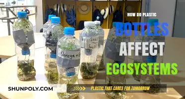 Plastic Bottles' Devastating Impact on Ecosystems: Causes and Solutions