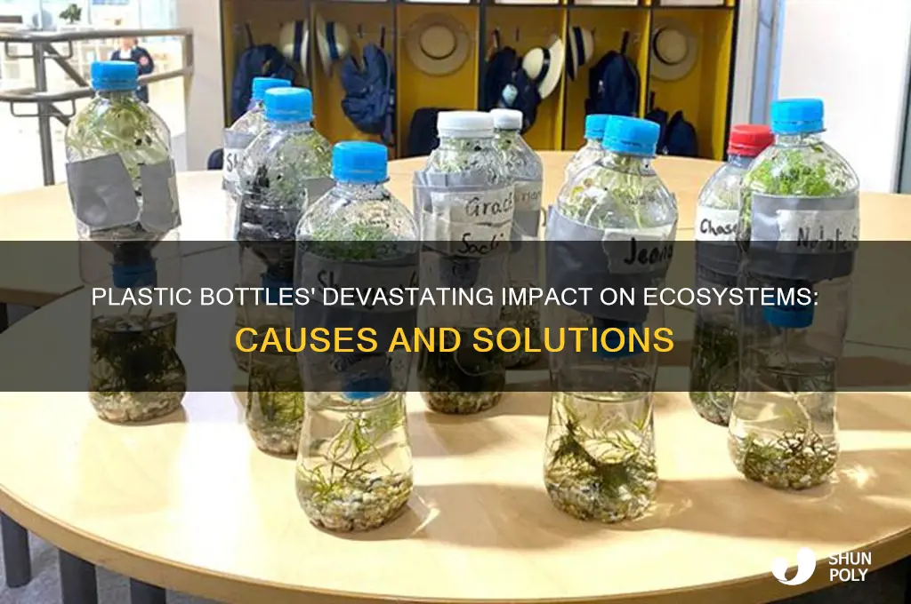 how do plastic bottles affect ecosystems