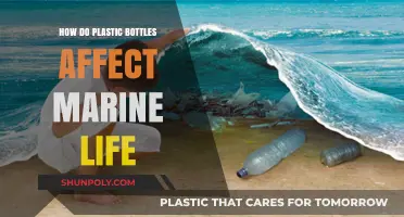 Plastic Bottles in Oceans: Devastating Impacts on Marine Life Revealed