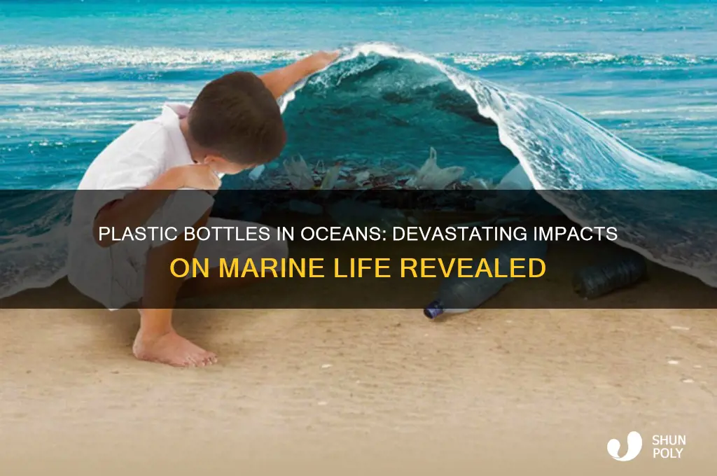 how do plastic bottles affect marine life