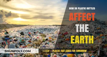 Plastic Bottles' Impact: Environmental Consequences and Sustainable Solutions