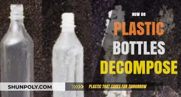 Plastic Bottle Decomposition: Understanding the Environmental Impact and Timeline