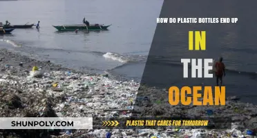 How Plastic Bottles Travel from Land to Ocean: A Journey Explained