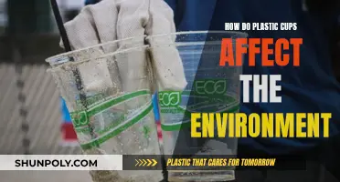 Plastic Cups: Environmental Impact and Sustainable Alternatives