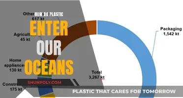 Plastic Pollution: How It Enters Our Oceans