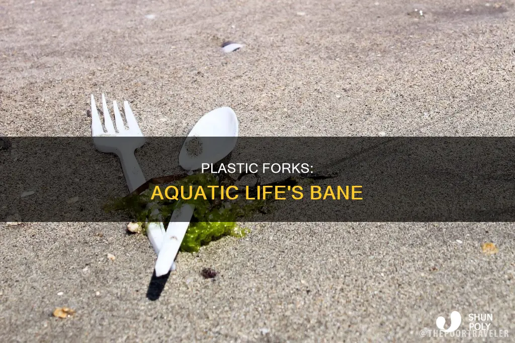 how do plastic fork impact the water
