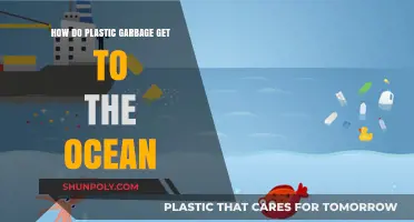 From Land to Sea: Tracing the Journey of Plastic Waste to Oceans