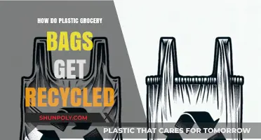Recycling Plastic Grocery Bags: A Step-by-Step Process Explained