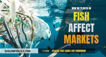 Plastic-Filled Fish: Market Risks and Consumer Concerns