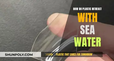 Plastic and Seawater: A Complex Interaction