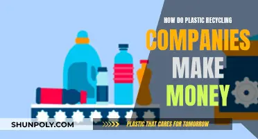Plastic Recycling: Making Money from Waste Management