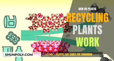 The Complexities of Plastic Recycling Plants