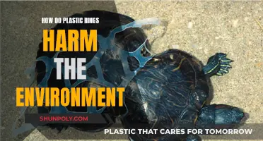 Plastic Rings: Environmental Impact and Harmful Effects