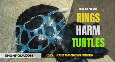 Plastic rings: A deadly threat to turtles
