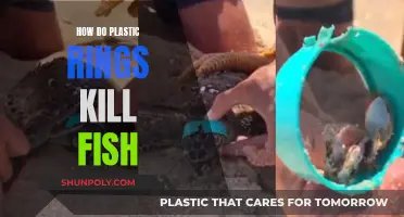 Plastic Rings: A Slow, Painful Death for Fish
