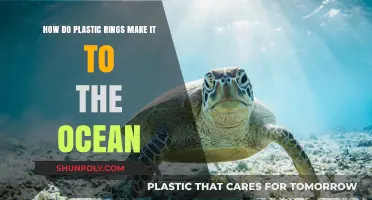 How Plastic Rings End Up in Our Oceans: A Troubling Journey