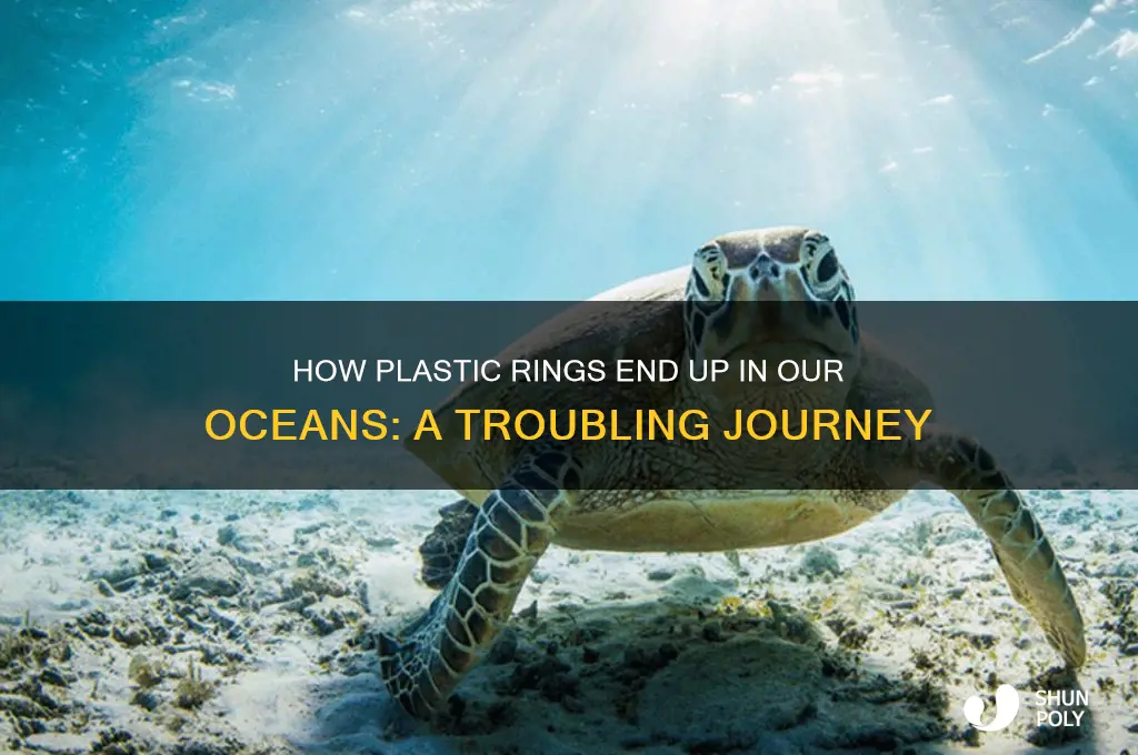 how do plastic rings make it to the ocean