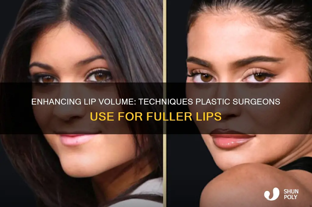 how do plastic surgeons make lips bigger