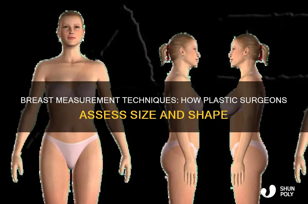 how do plastic surgeons measure breasts