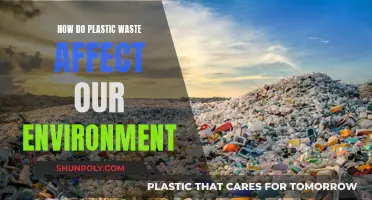 Plastic Pollution: Environmental Impact and Solutions