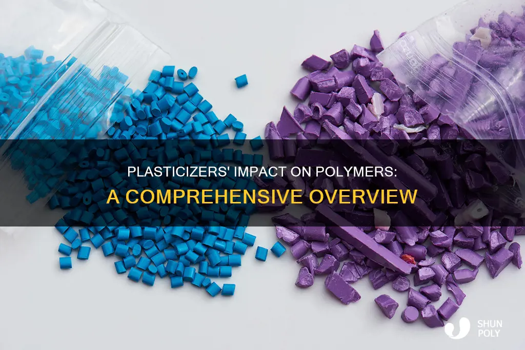 how do plasticizers affect polymer properties