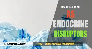 Plastics: Endocrine Disruptors in Disguise