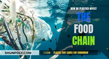 Plastic Pollution: Impacting Our Food, Our Health