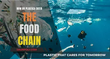 Plastic Pollution: Entering Our Food Chain