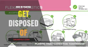 Unveiling the Journey: How Plastics Are Disposed of Globally