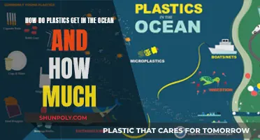 Plastic Pollution: Ocean Crisis