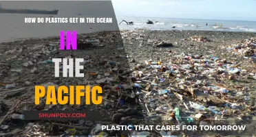 How Pacific Ocean Plastics: Sources, Pathways, and Environmental Impact