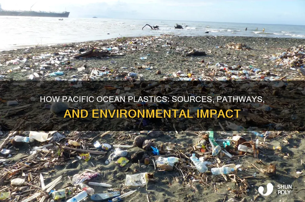how do plastics get in the ocean in the pacific