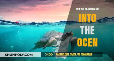 From Land to Sea: Tracing the Journey of Plastics into Oceans