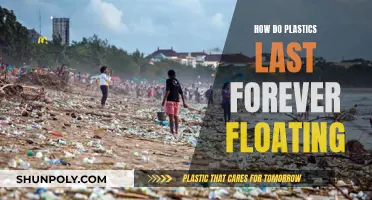 The Forever Floating Plastics: An Environmental Conundrum