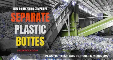 The Magic of Sorting: Plastic Bottles' Journey Through Recycling