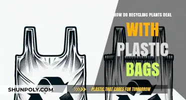 Recycling Plants' Strategies for Handling Plastic Bags: Challenges and Solutions