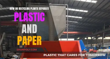 The Magic of Sorting: Separating Plastic and Paper at Recycling Plants