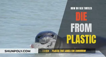 Plastic Kills: Sea Turtles' Slow Death