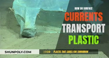 Surface Currents and Plastic Pollution: A Global Concern