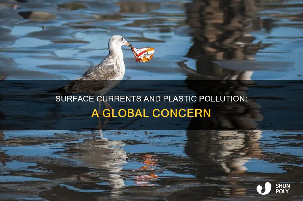 how do surface currents transport plastic