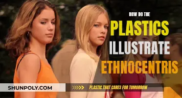 Plastic Family's Ethnocentrism: A Study of Culture and Values