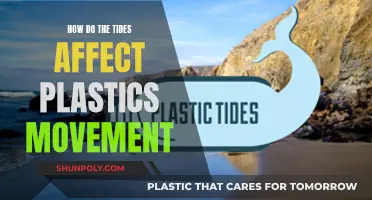 Tides' Influence on Plastic Movement: Understanding the Impact