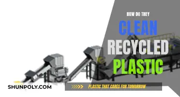 The Process: Cleaning Recycled Plastic for Reuse