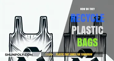 Recycling Plastic Bags: A Step-by-Step Guide to Sustainable Disposal