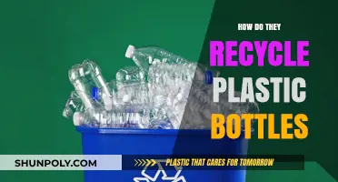 From Waste to Resource: The Plastic Bottle Recycling Process Explained