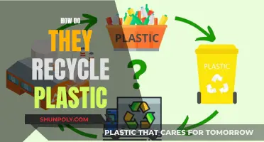 Unveiling the Secrets: How Plastic Recycling Works