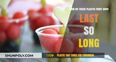 The Secret to Plastic Fruit Cups' Longevity: A Comprehensive Guide