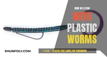 Plastic Worms: The Ultimate Guide to Fishing Success