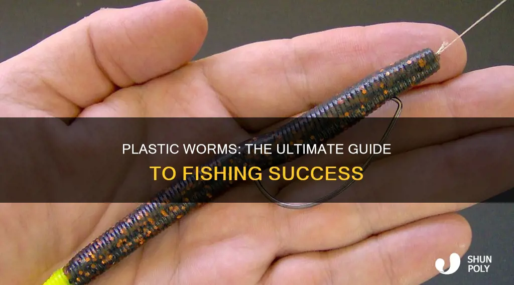 how do u fish with plastic worms